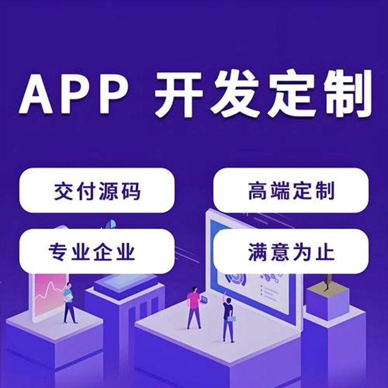 定制软件：企业创新的新引擎